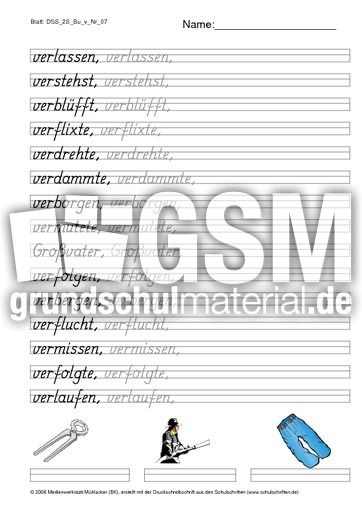 DSS_2S_Bu_v_Nr_07.pdf